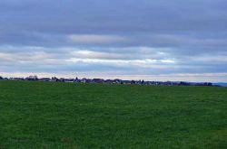 P1100481 P1100481